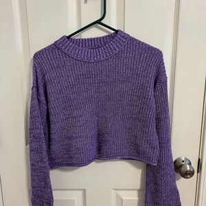Wild Fable Lavender Knit Sweater — Cropped